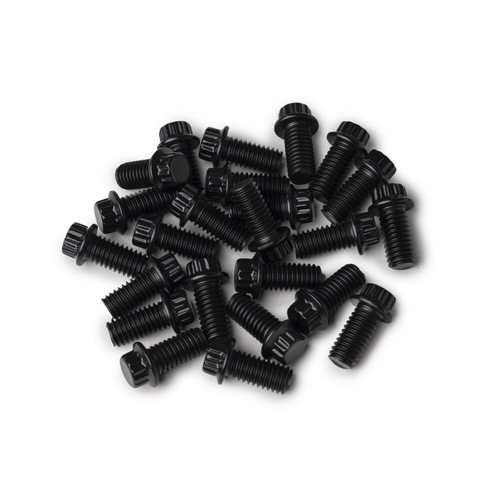 12 Point Lip Bolt Kit | Black