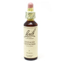 Fleur De Bach-centaurée (20ml)