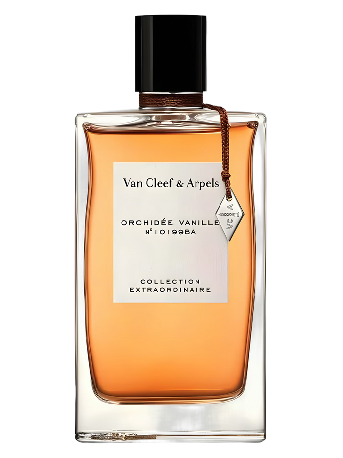 Orchidee Vanille
