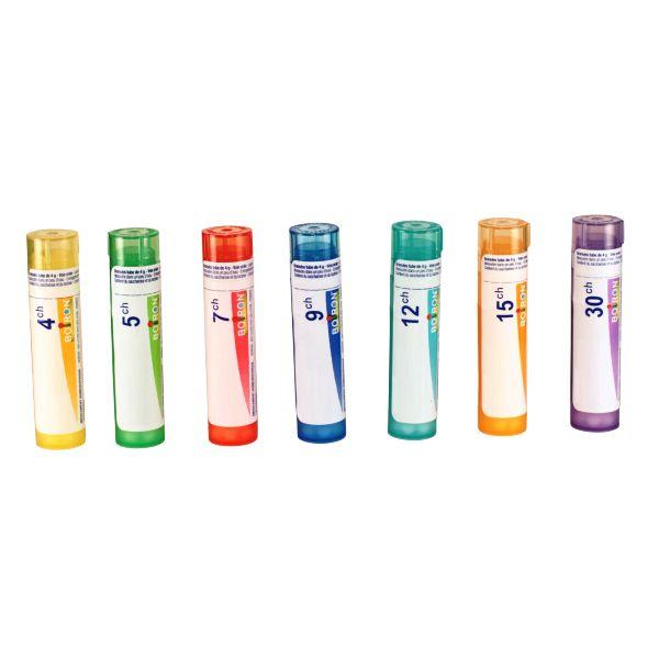 Sabal Serrulata 15ch (80 Granules)
