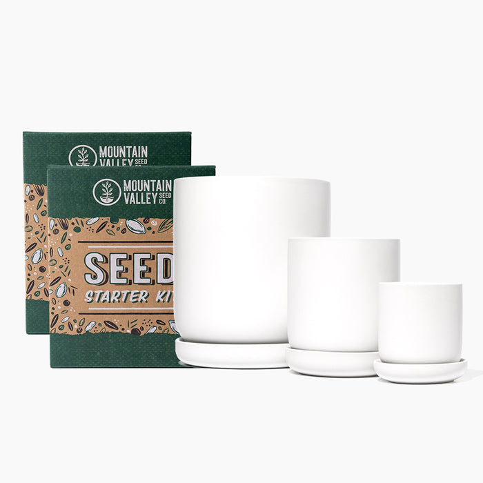 True Leaf Market Grow Kits Stoneware Planter & Seed Kit