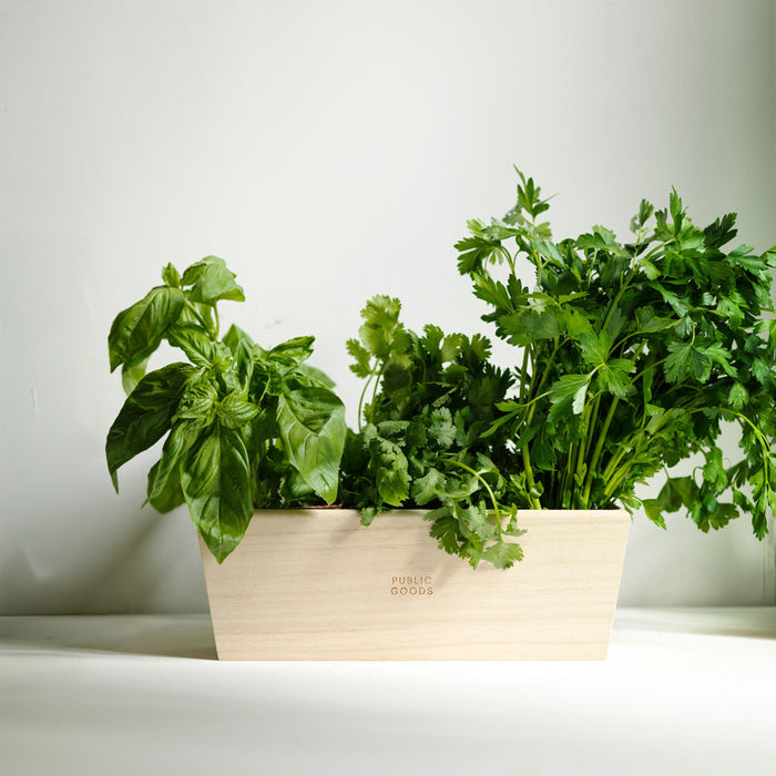Public Goods Household Wooden Herb Planter